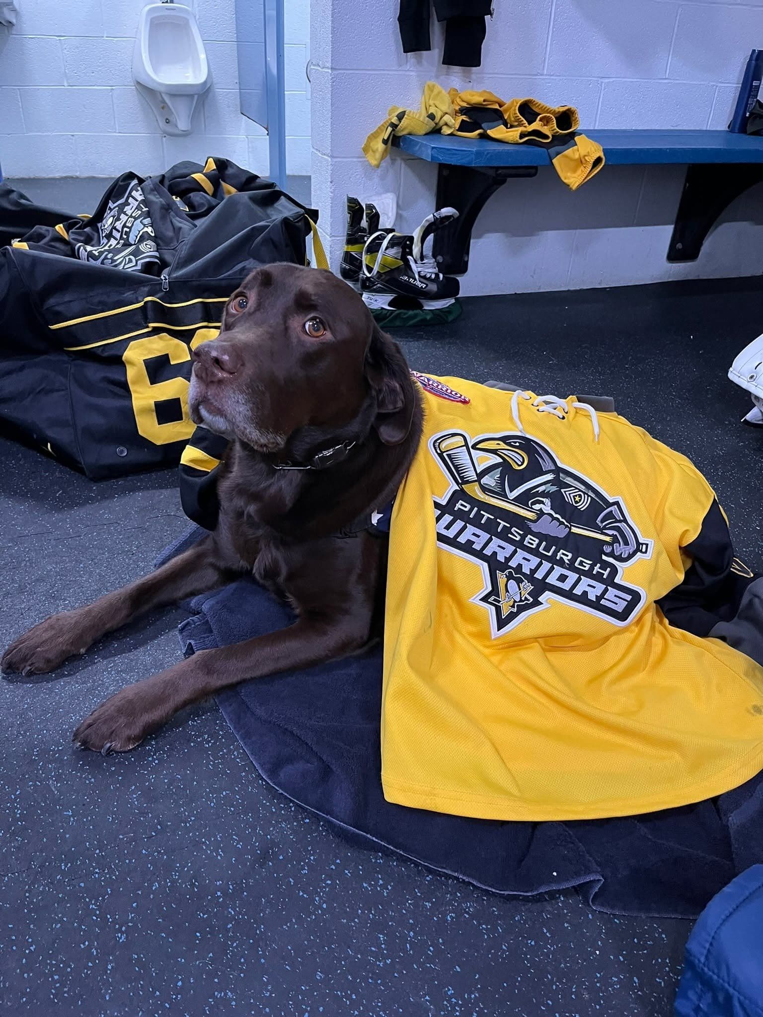 2024 USA Hockey Warrior Nationals — Wayne, NJ (Black & Gold runners-up) thumbnail 3