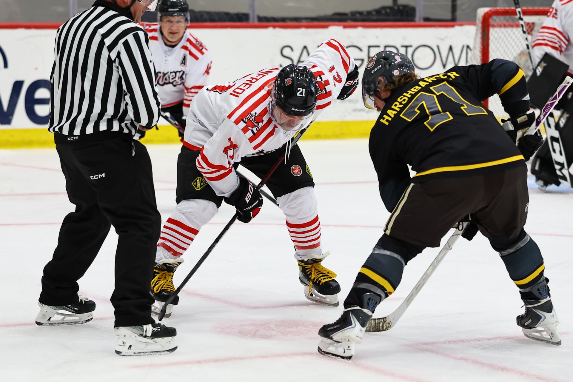 utica-2026-thu-new-jersey thumbnail 325