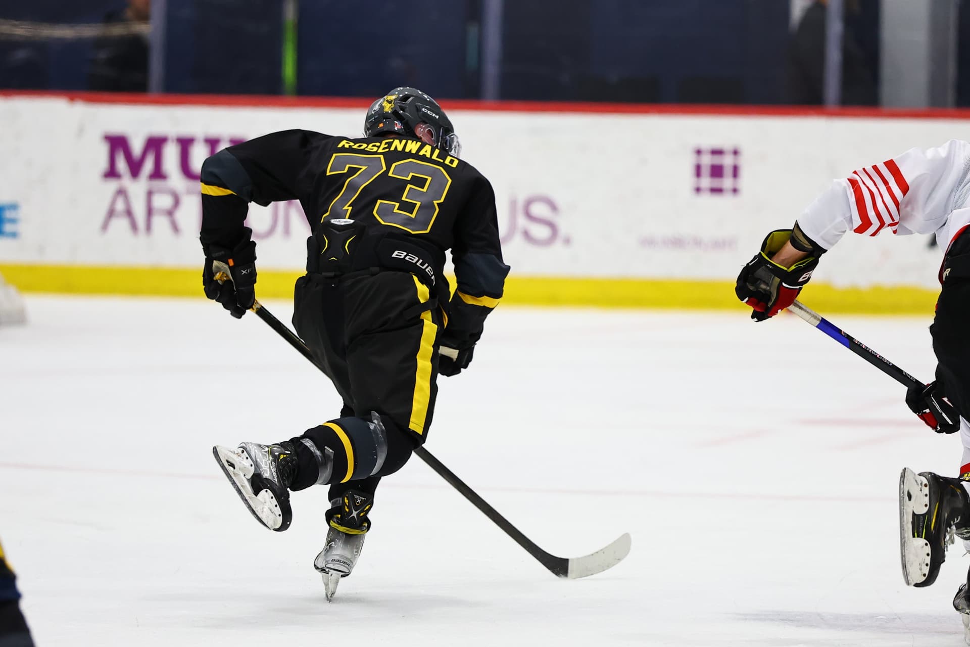 utica-2026-thu-new-jersey thumbnail 366
