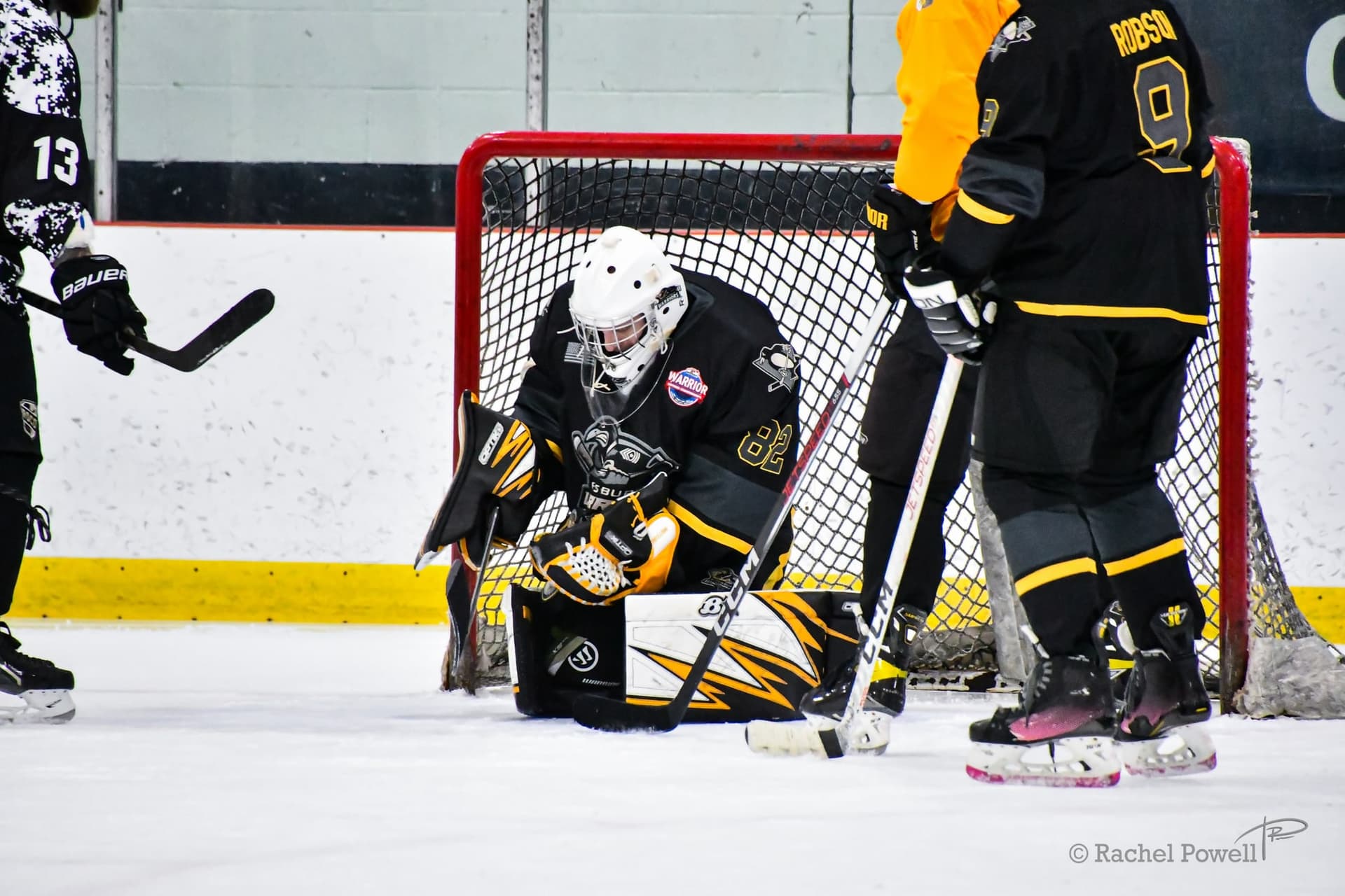 17jan-olympic-rink photo 5