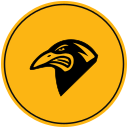 Pittsburgh Warriors Gold logo